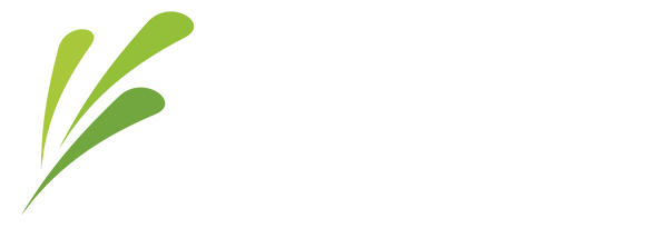 KCE Accountants and Auditors Inc
